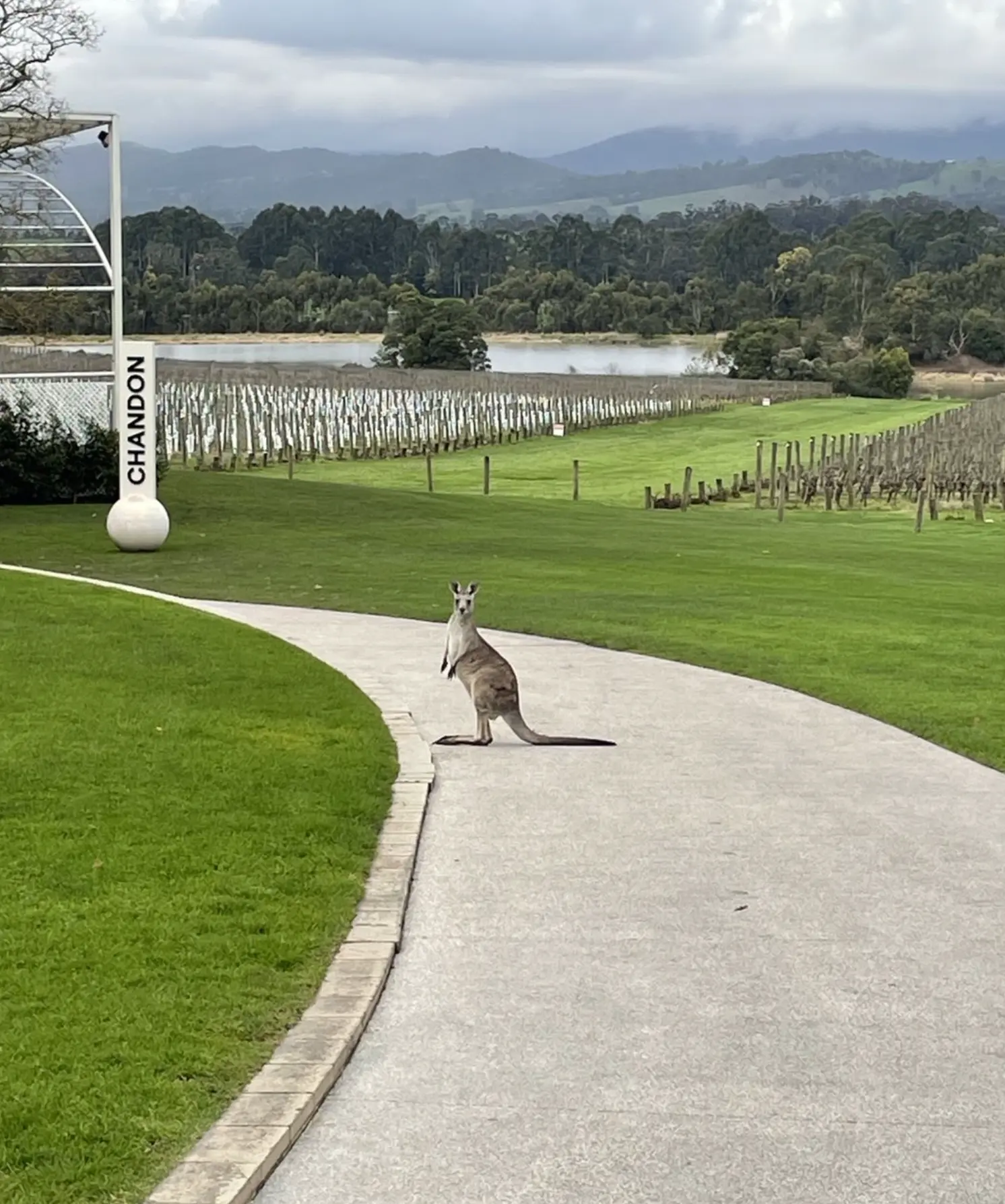 Yarra Valley at its Best