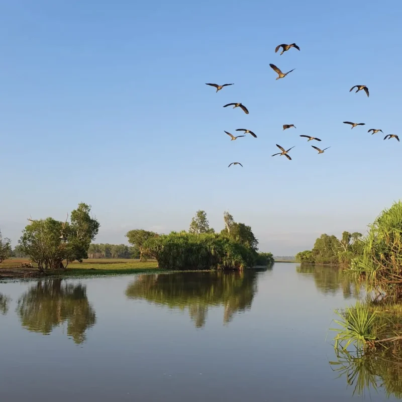 Yellow Water Billabong