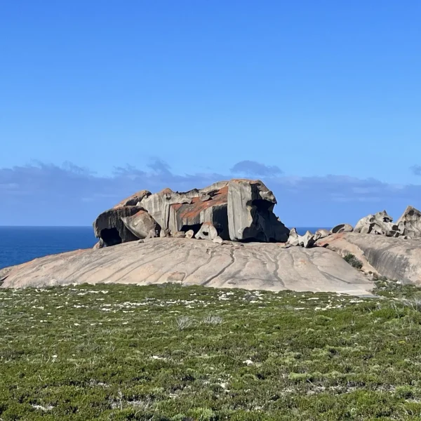 adelai kangaroo island tour