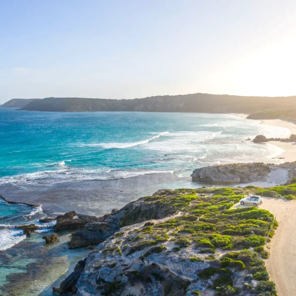 adelai to kangaroo island tour