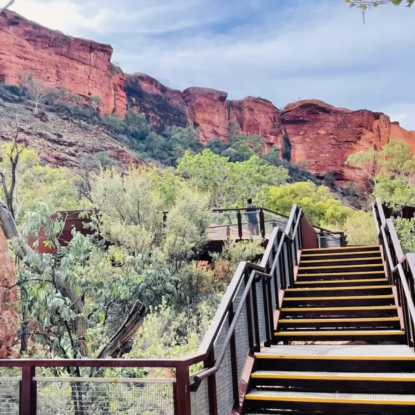 alice spring to uluru tour kings canyon