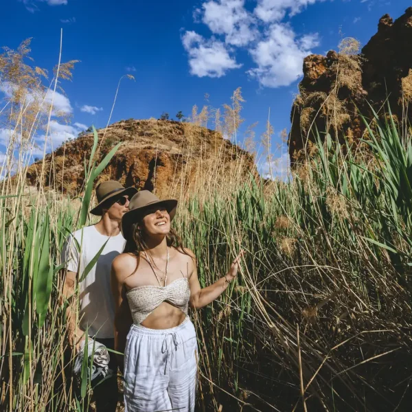alice springs day tour