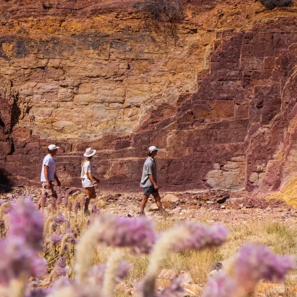 alice springs day tours