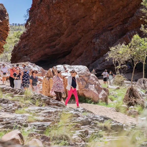 alice springs tours