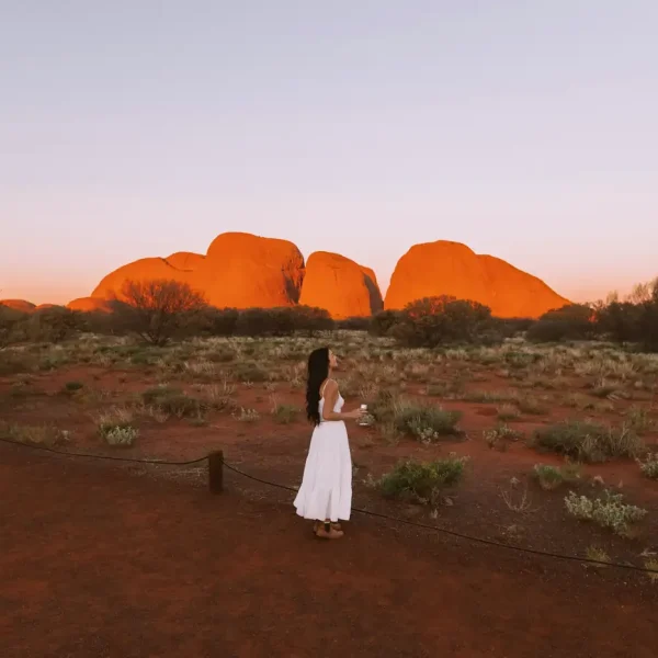 alice springs tours to ayers rock