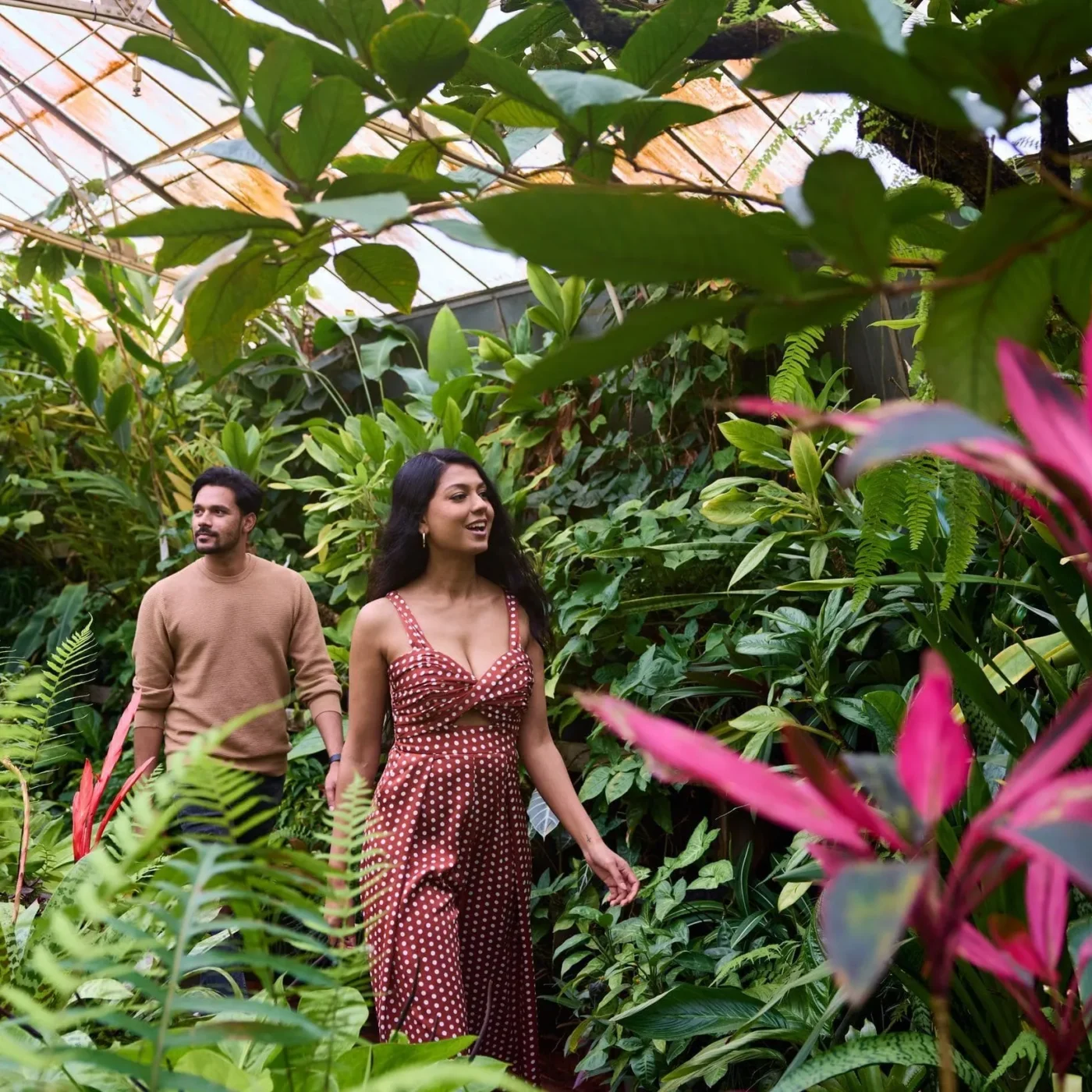 attraction in victoria