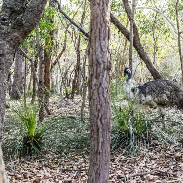 australia east coast group tour