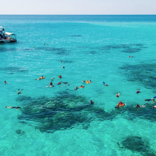 australia tours sydney to cairns
