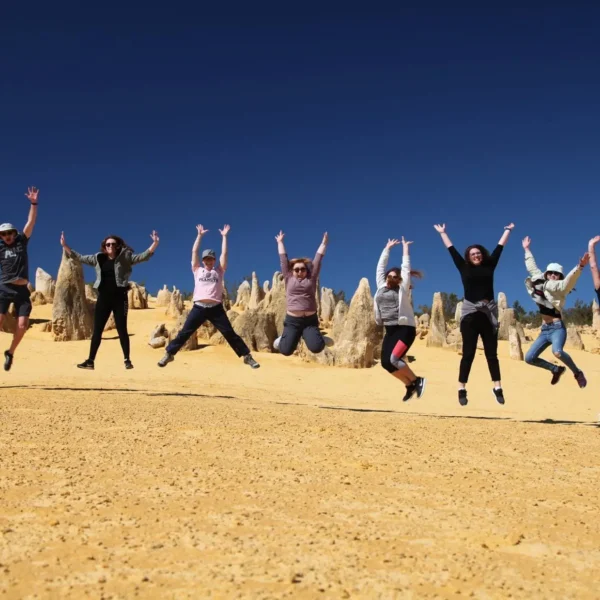 b tours perth
