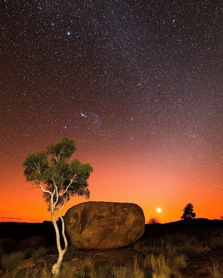 best things to do alice springs