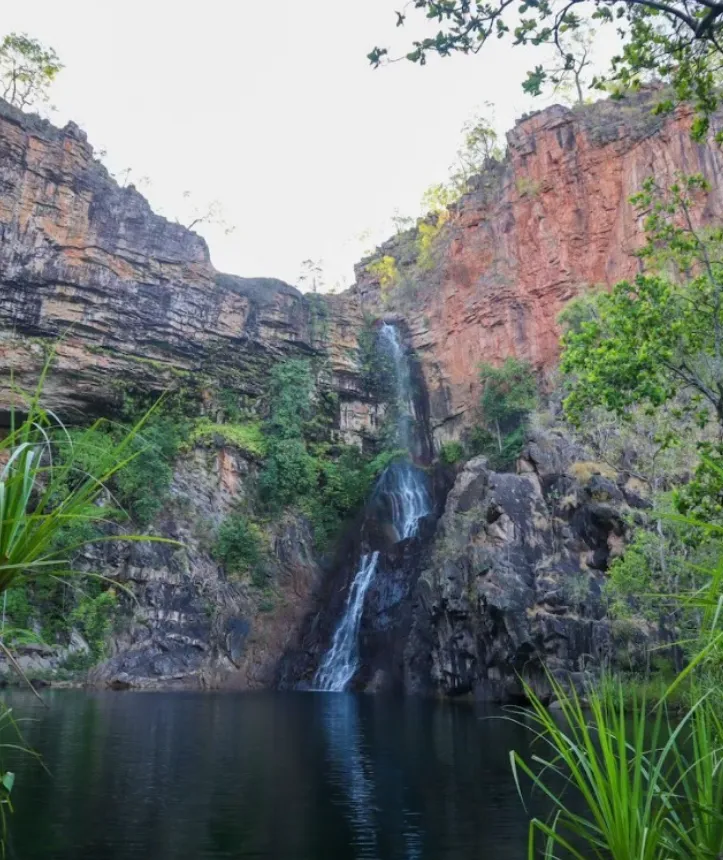 best things to do darwin