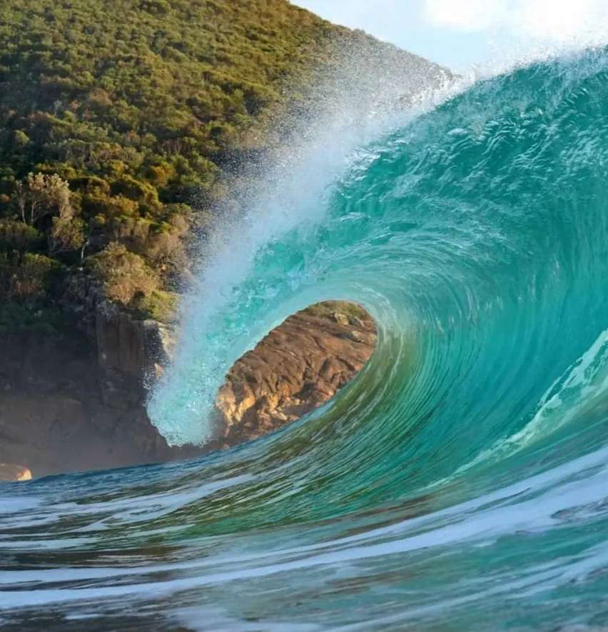 best things to do in port stephens
