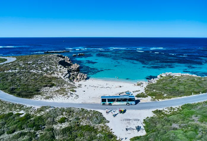 best things to do on rottnest island