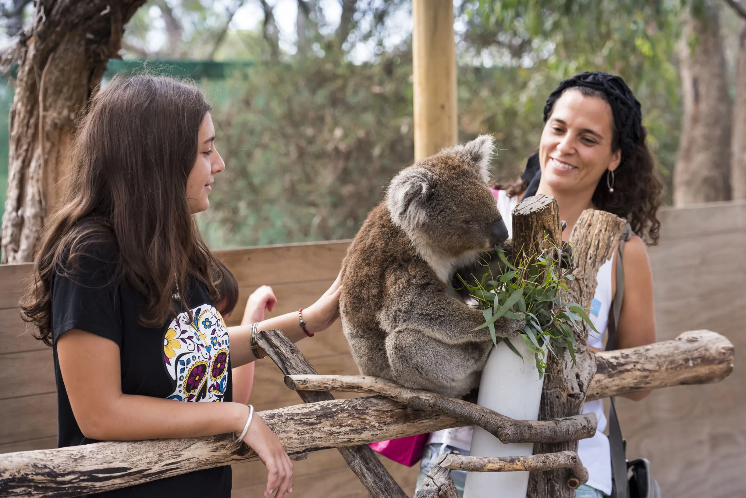 best things to do on the mornington peninsula