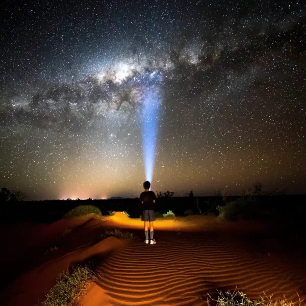 best tours at uluru from Ayers Rock