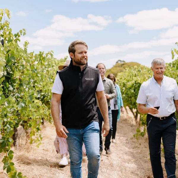 best wine tours margaret river
