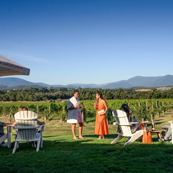 best yarra valley wine tours