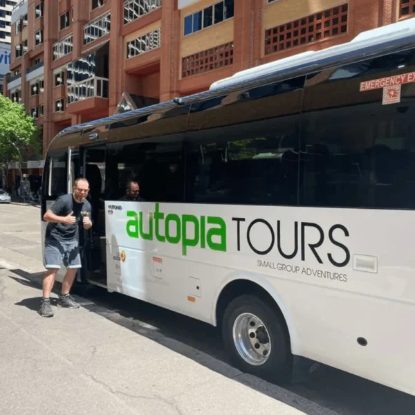blue mountain day tour