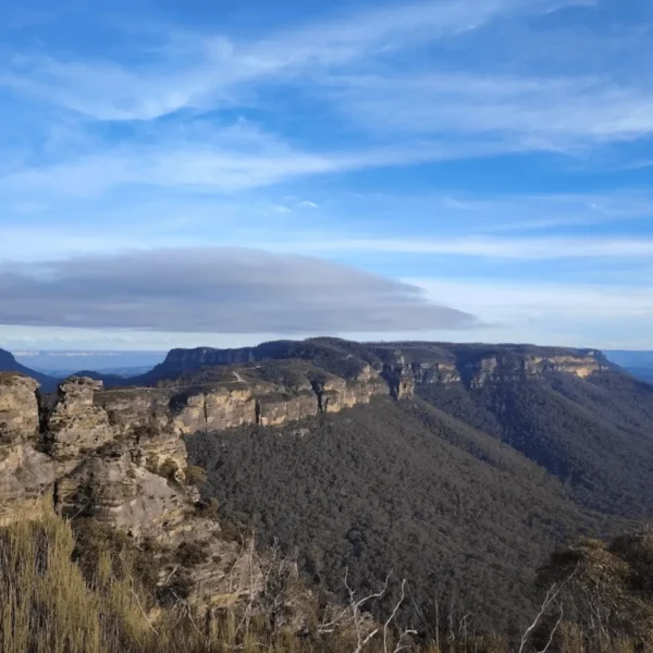 blue mountains tour from sydney (3)