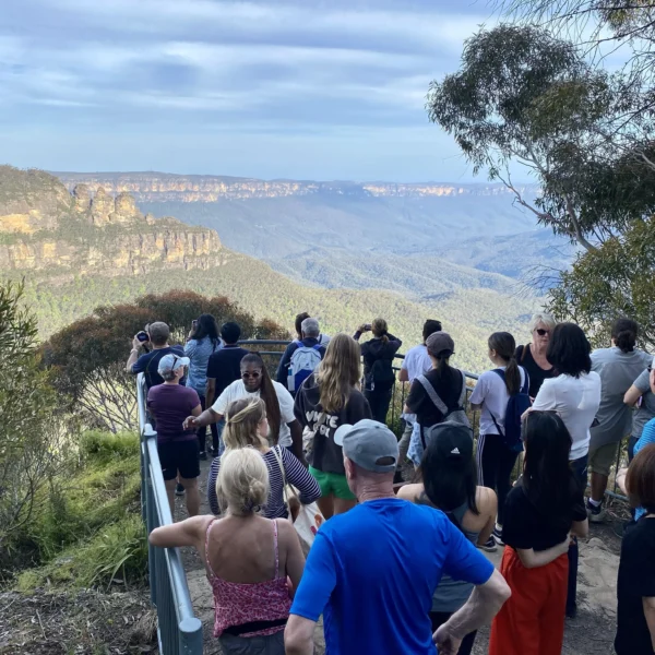 blue mountains tours tripadvisor