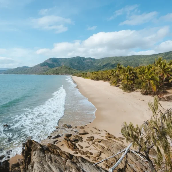 brisbane departure daintree rainforest holiday