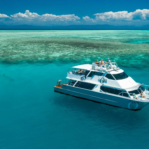 brisbane to daintree escorted holiday