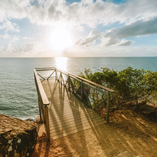 brisbane to daintree rainforest tour
