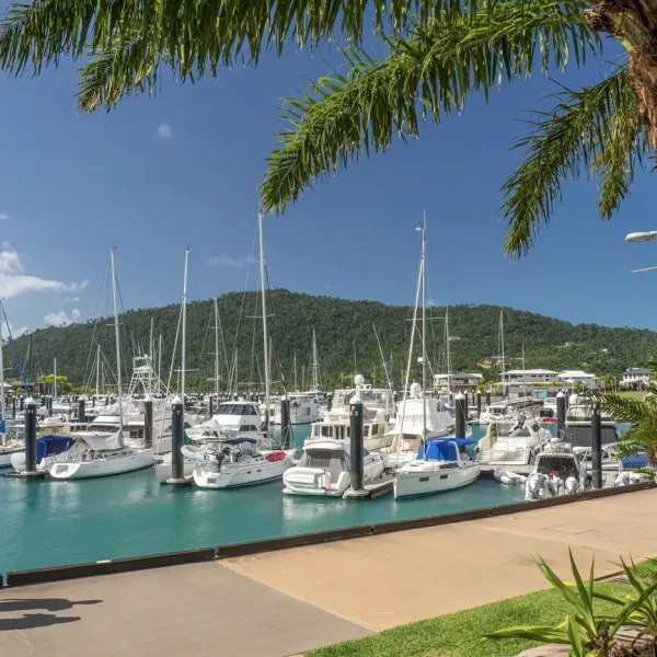 brisbane to daintree with whitsundays & reef