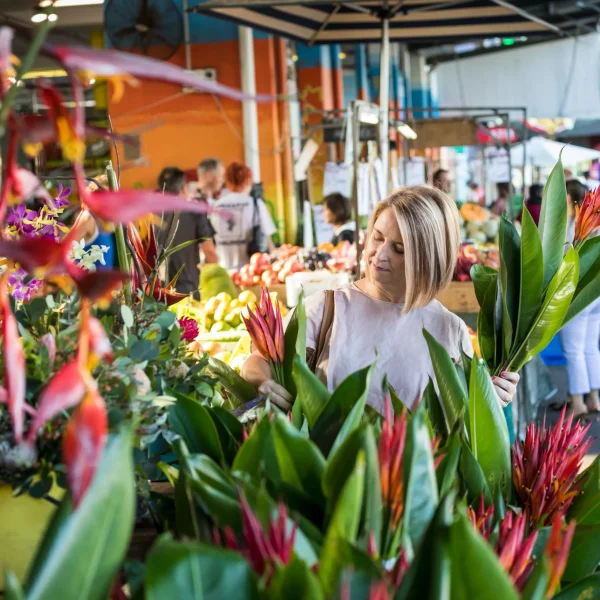 cairns to sydney road trips