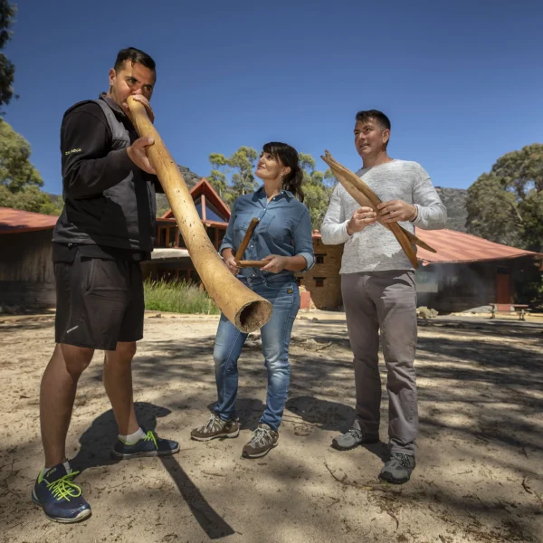 cheap grampians tour
