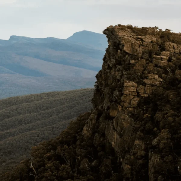 cheap grampians tour