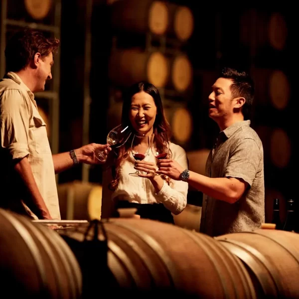 cheap hunter valley tours
