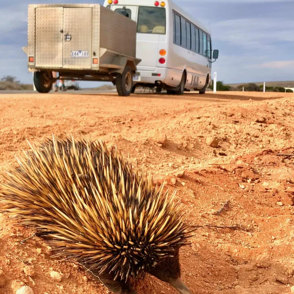 coral bay tour