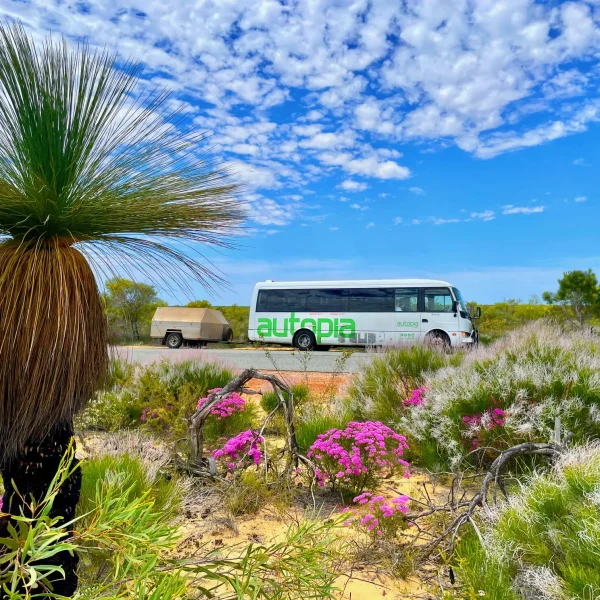 coral bay tours