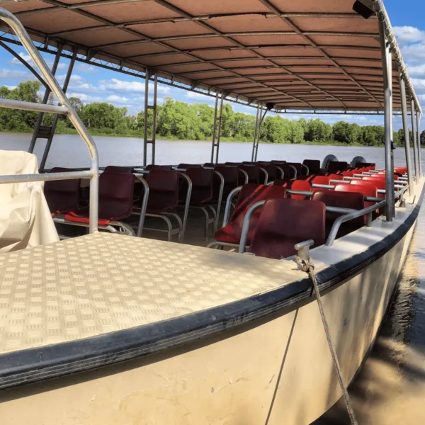 croc cruise darwin