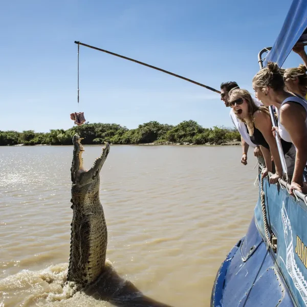 croc jumping tour darwin