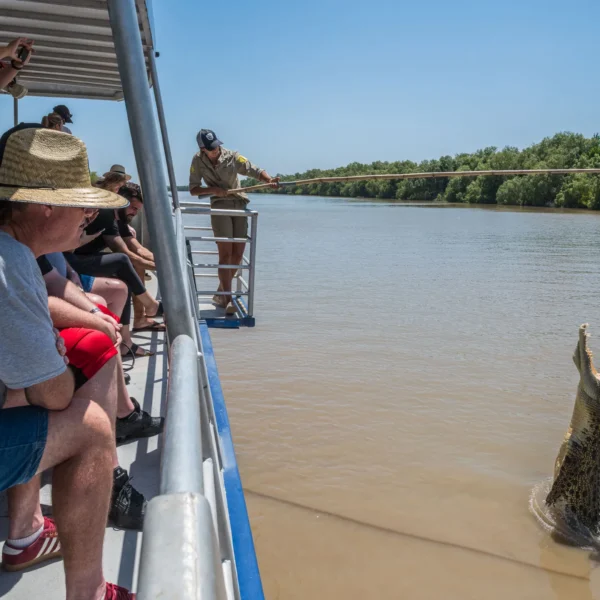 jumping crocs darwin