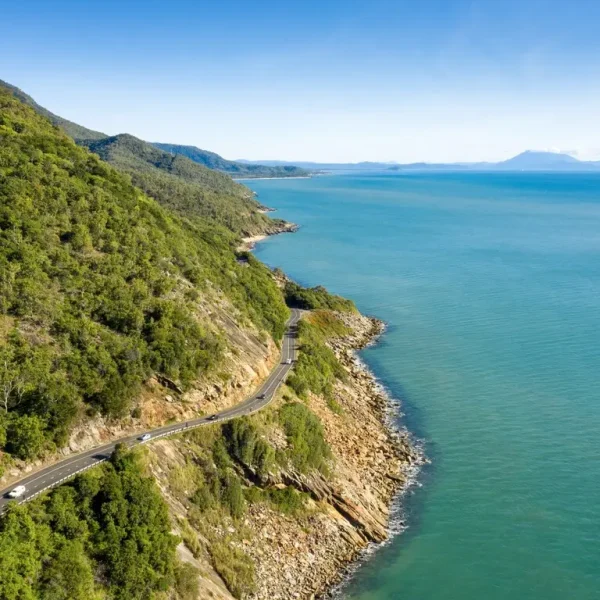 daintree wildlife river cruise tour