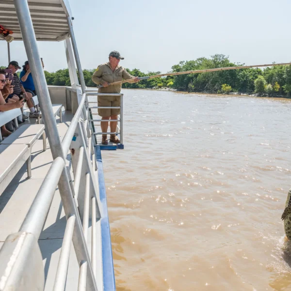 darwin crocodile tour