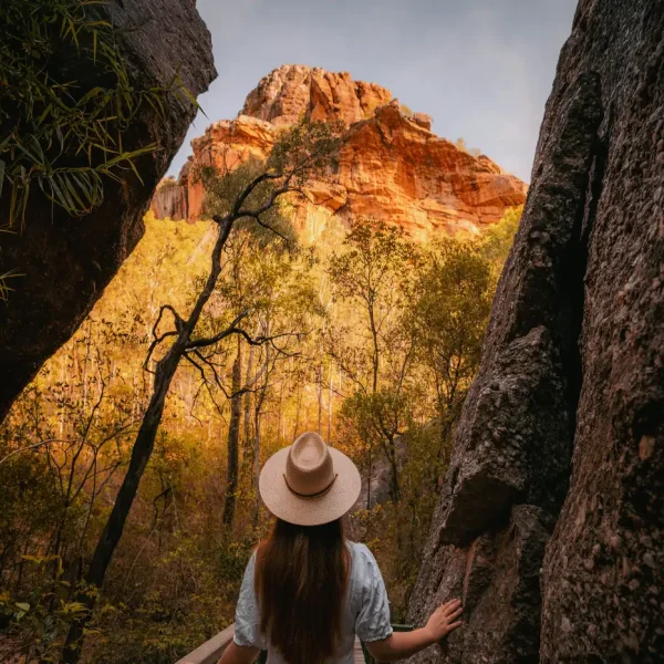 darwin day trips to kakadu