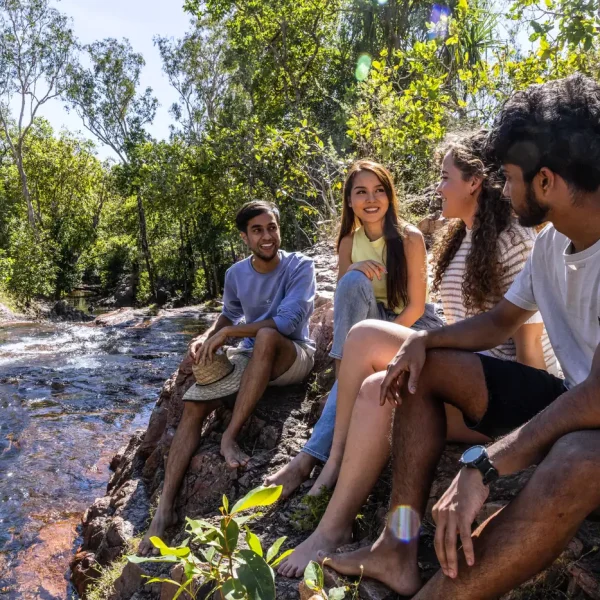 darwin litchfield tour