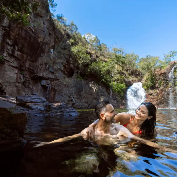 darwin litchfield tours