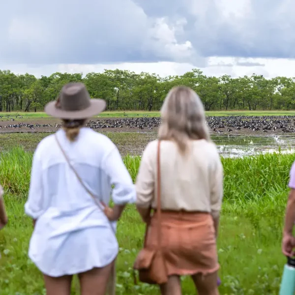 darwin to litchfield tours