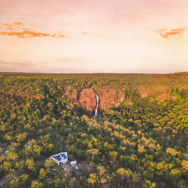 darwin tours litchfield