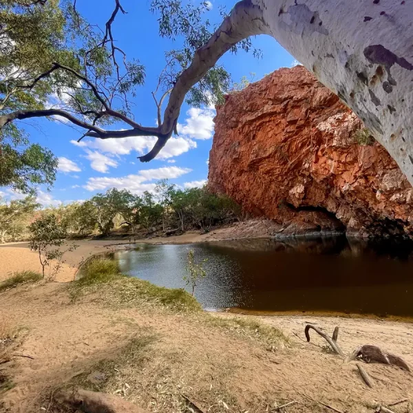 day tours from alice springs