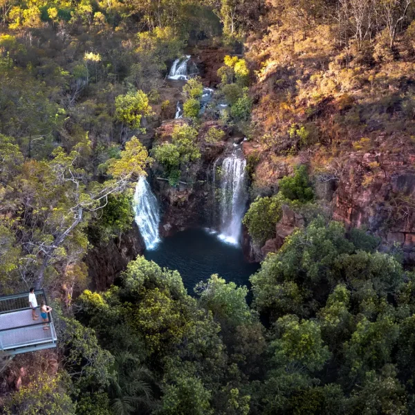 day tours from darwin to litchfield national park