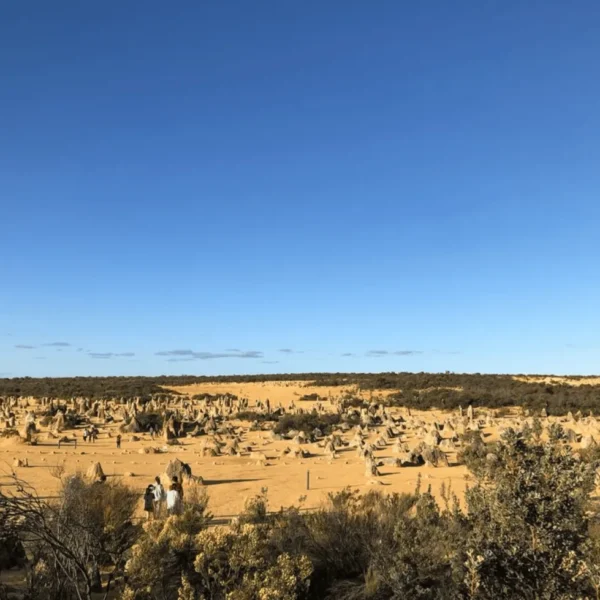 day tours perth