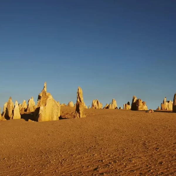 pinnacles tour perth