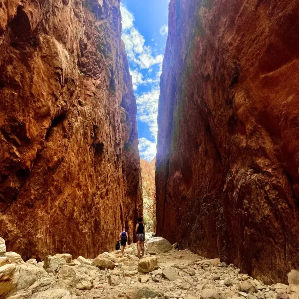 day trip from alice springs