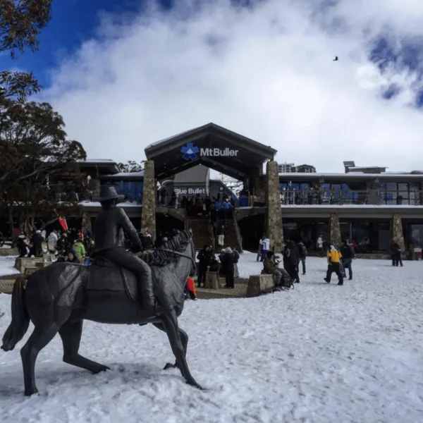 day trip mt buller